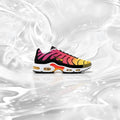 TN RAINBOW 🍭 1.1🥇 Quality